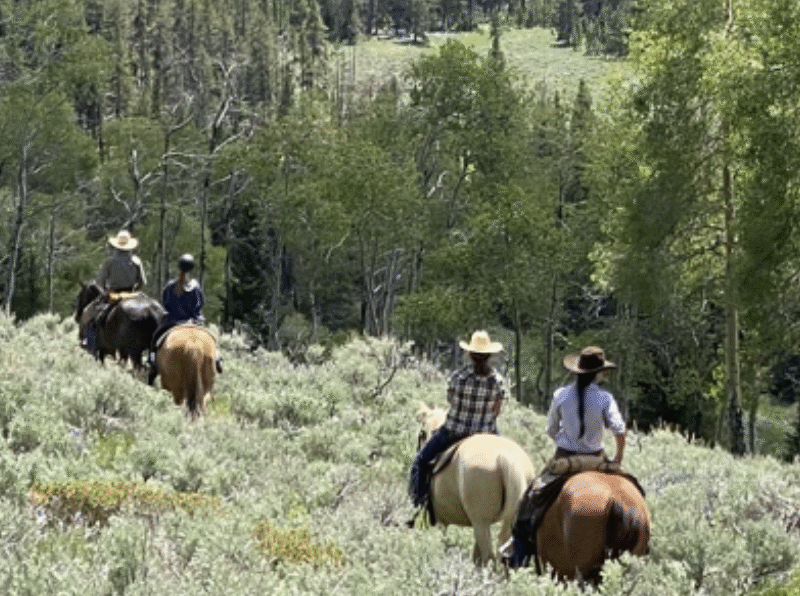 The Hideout Lodge & Guest Ranch – Shell, WY